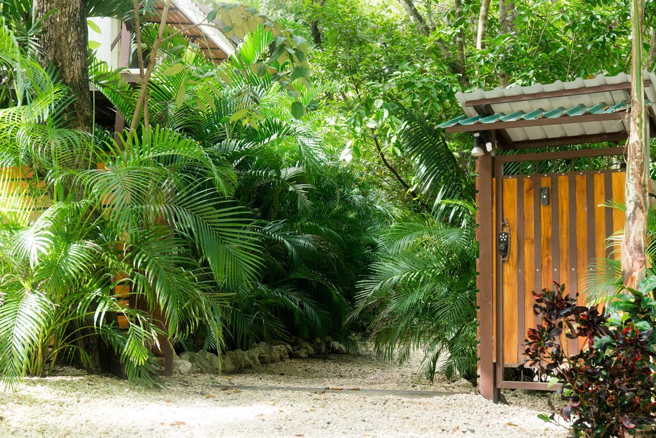 Green Sanctuary Hotel Nosara Exterior photo